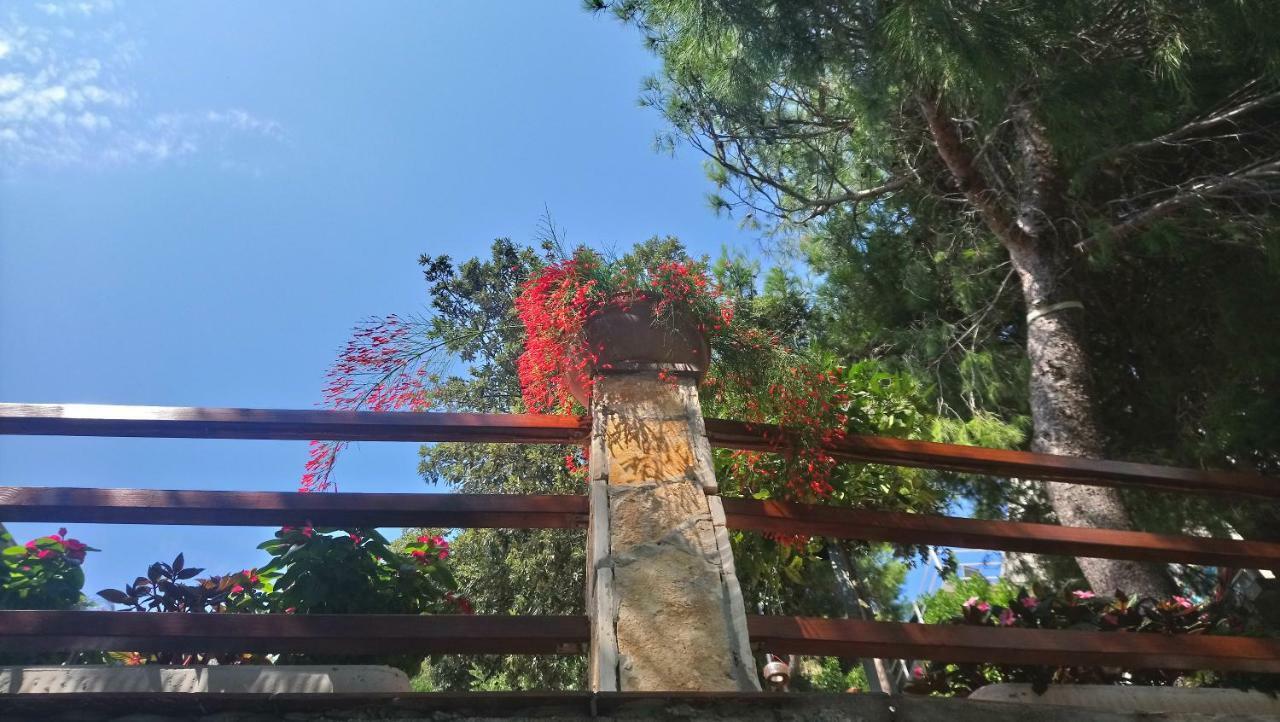 Apartment Josip II ストン エクステリア 写真